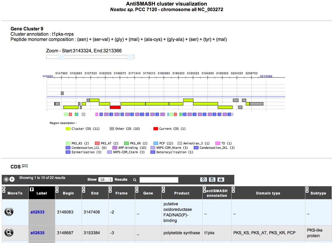 ../../_images/antismash_cluster_visualisation.png
