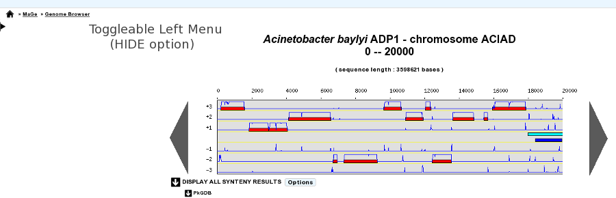 ../../_images/display2.png